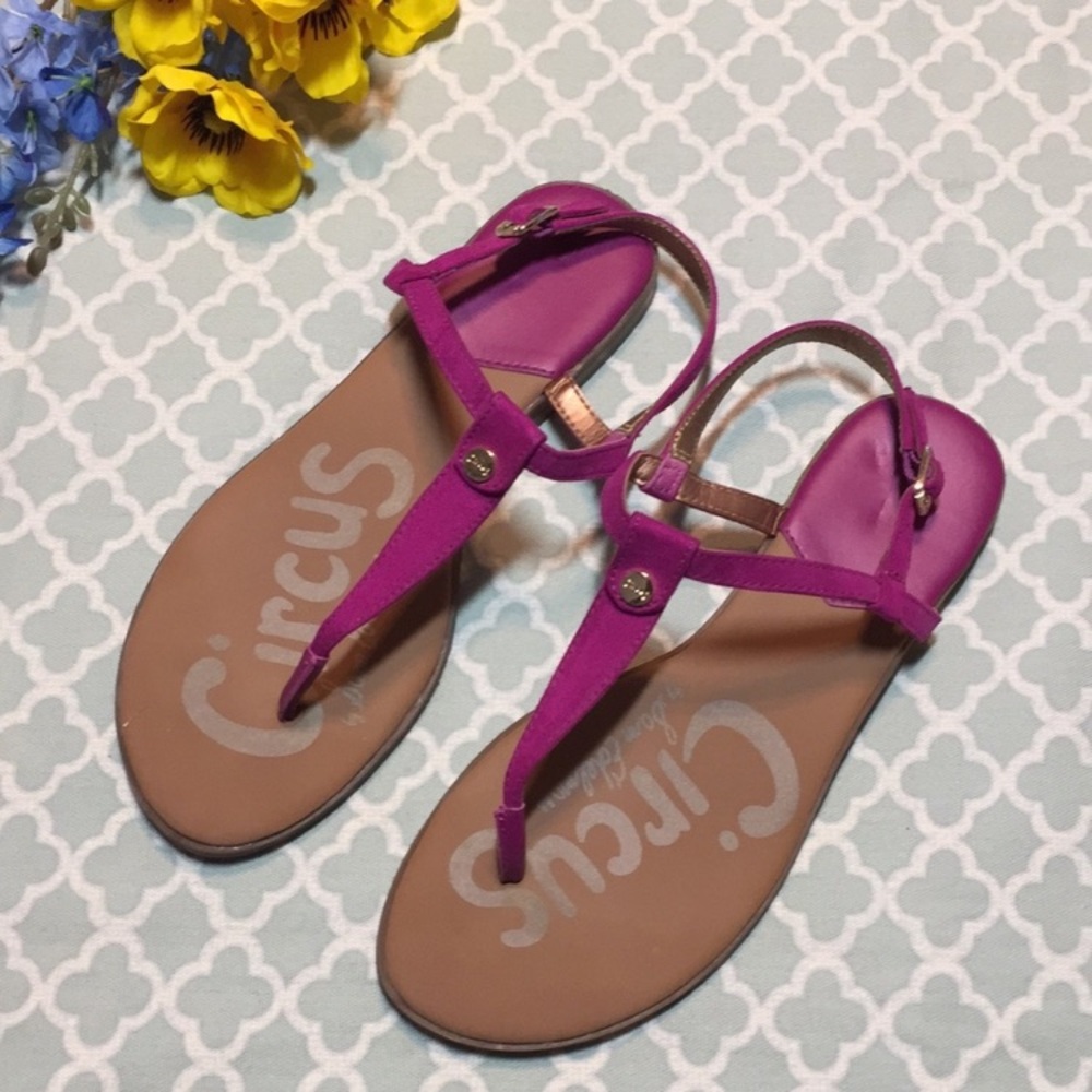 Circus Sam Edelman Cayden Fuchsia Thong Sandals 8
